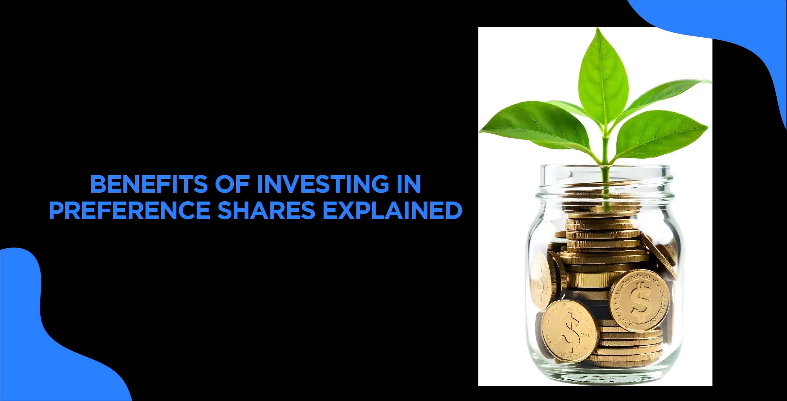 Benefits of Investing in Preference Shares Explained