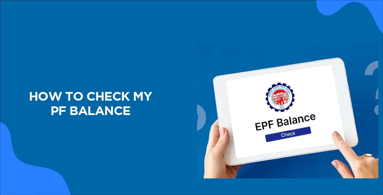 How to Check My PF Balance: All You Need to Know?