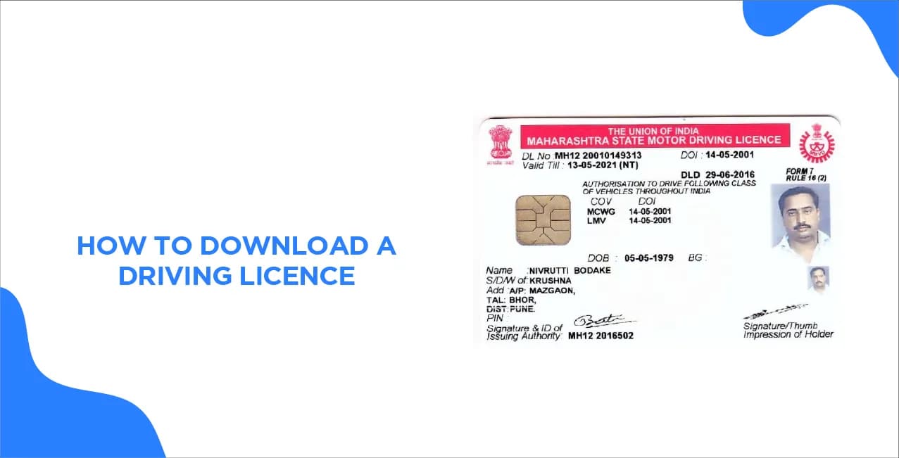 How to Download a Driving Licence? All You Need to Know