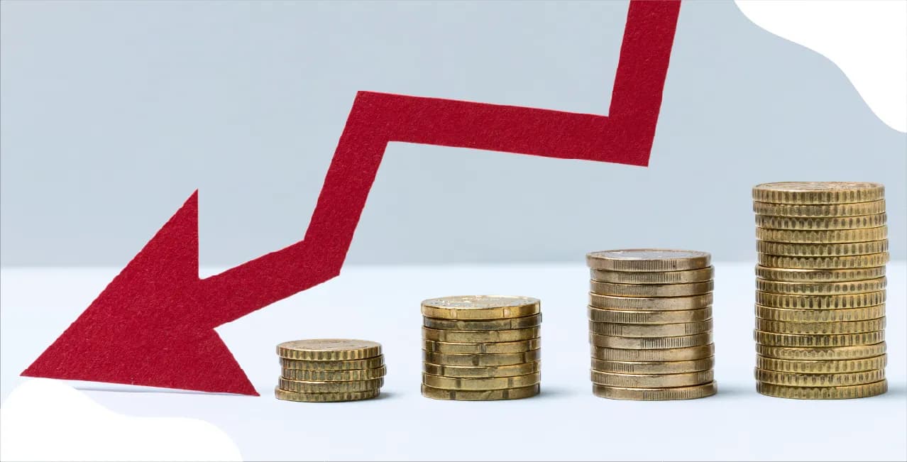 RBI’s Record Fund Infusion into Banking System Fails to Accelerate Loan Growt