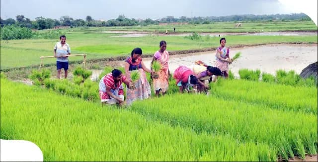 Agricultural Loans Surpass ₹28 Lakh Crore; Government Clarifies No Current Waiver Plans