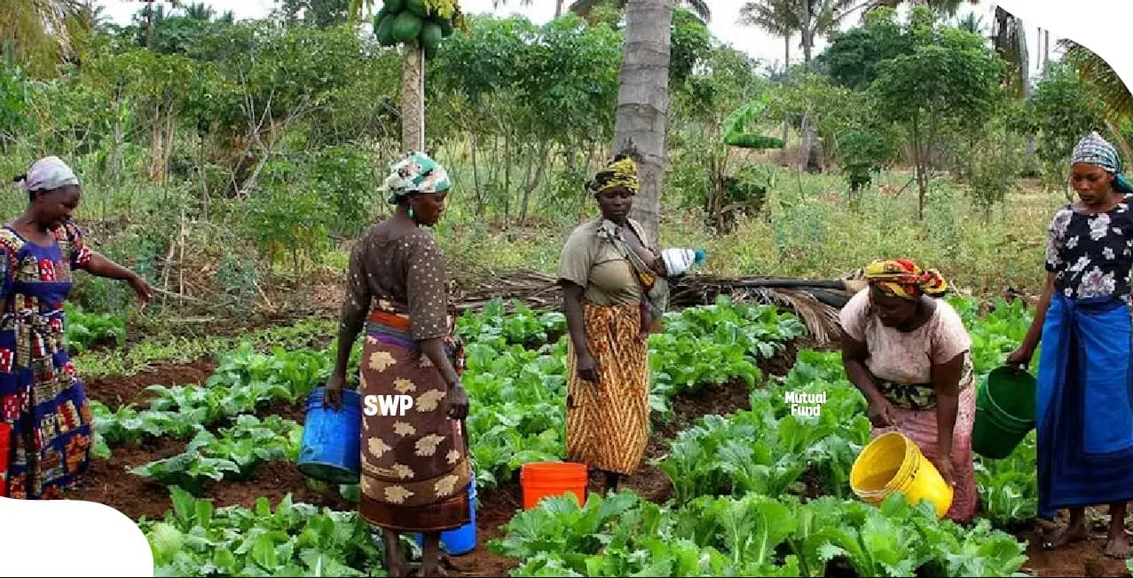 How War Destroys Civilian Jobs, Farms, and Small Businesses Beyond the Economic Stats?