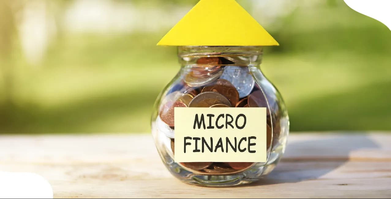 What is Microfinance? Meaning, Features & Importance for Small Borrowers