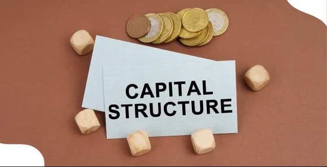 What is Capital Structure? Meaning, Types & Importance