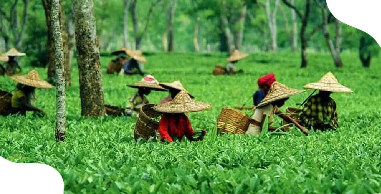 India And ADB Sign $125 Million Assam Urban Development Loan