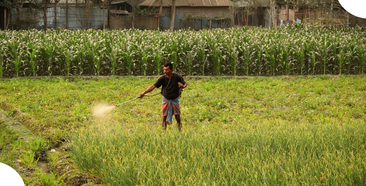 India’s Fertiliser Subsidy Burden May Reach Record Levels