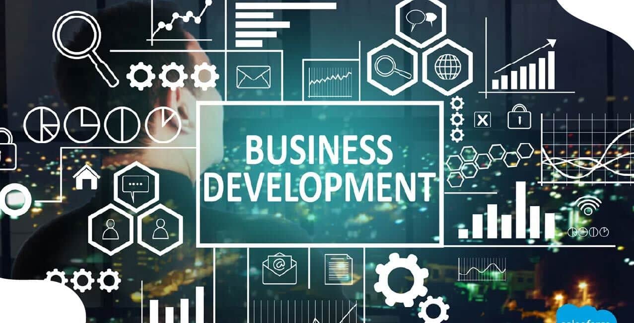 What Is Business Development: Strategies, Skills & Role in Growth