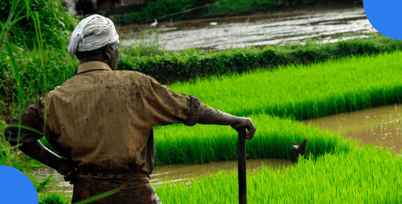 AP Government’s New Interest-Free Loan Scheme Could Change Farmers’ Lives